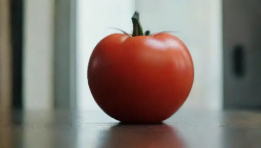 Cómo aplicar la técnica Pomodoro de Descubriendo la técnica Pomodoro para un repaso productivo