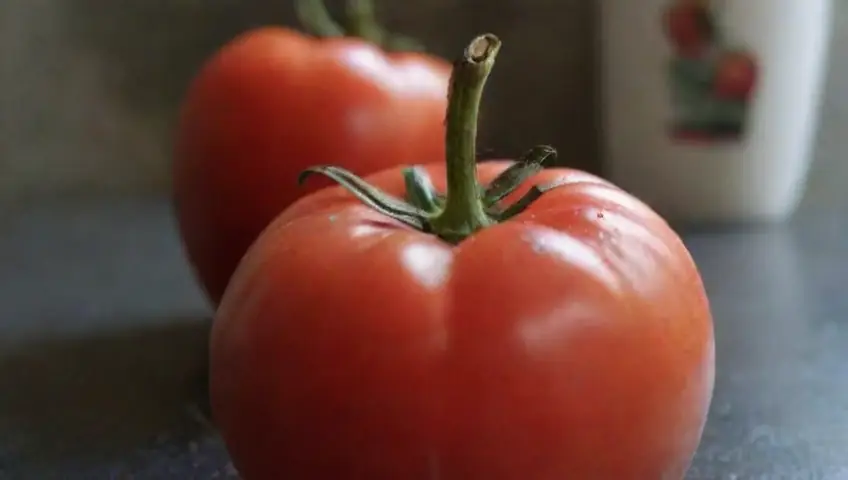 Cómo Implementar la Técnica Pomodoro en Tu Día a Día de Cómo Aplicar la Técnica Pomodoro en Tu Rutina Diaria