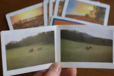 Cómo desarrollar flashcards que fomenten la curiosidad
